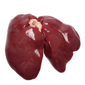 Halal Frozen Chicken Liver Exporters Brazil