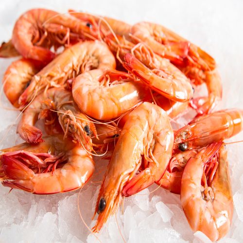 Shrimp & Prawns Exporter Netherlands