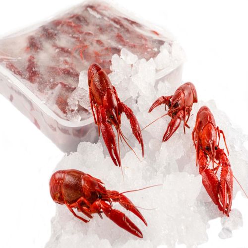 Frozen Crayfish