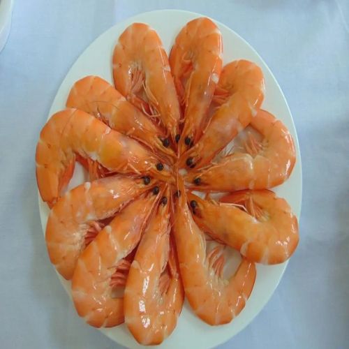 Frozen Cooked Vannamei Shrimp