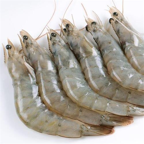 Frozen Vannamei Shrimp