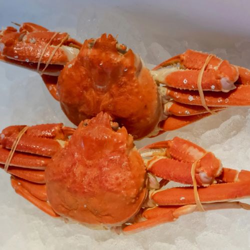 Frozen Snow Crab Leg