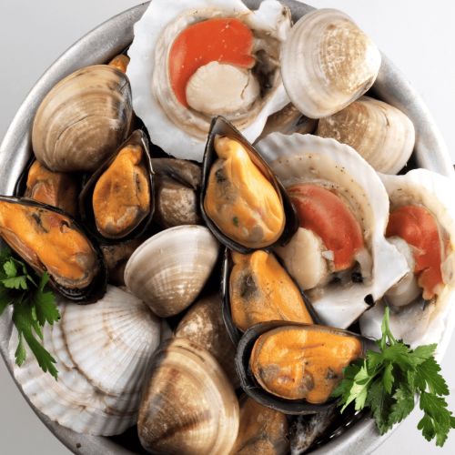 Shellfish Exporter Netherlands