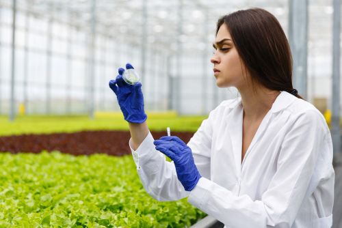 Agriculture Chemical Laos