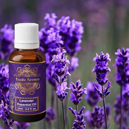 Lavender Oil Supplier Portugal