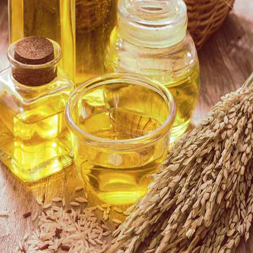 Rice Bran Oil Supplier Portugal