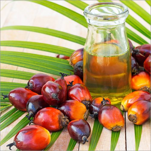 Palm Oil Supplier Portugal