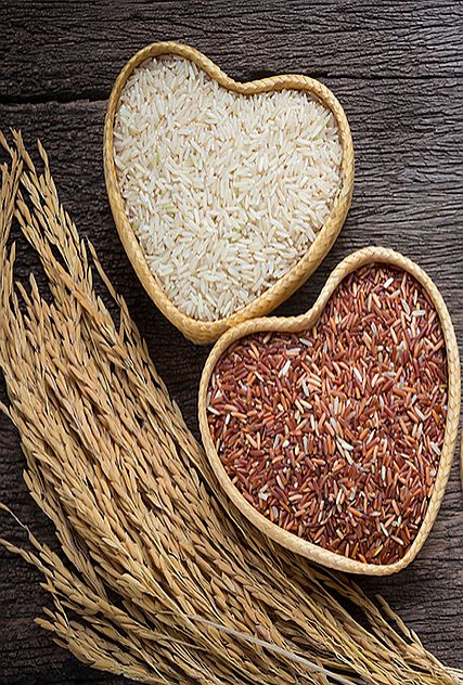 Rice Mill In Thailand